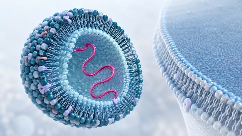 Estructura conceptual de una nanopartícula lipídica que protege una cadena de ARN