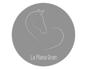 La Plana Gran